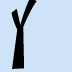 Letter Y