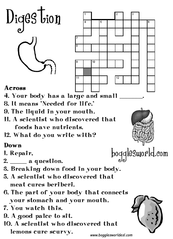 digestion Worksheet Digestion worksheets animal