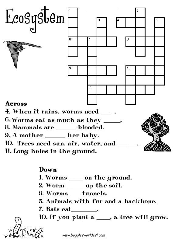 Ecosystem Crossword Puzzle