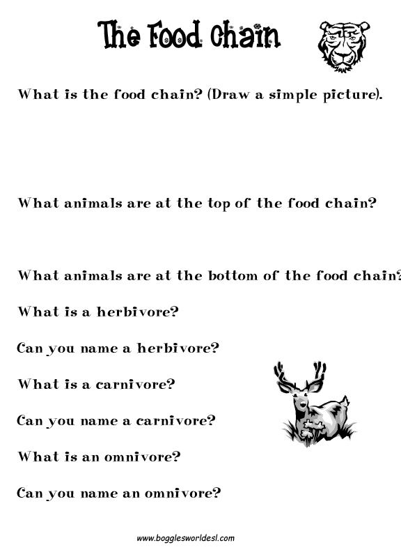 foods worksheets