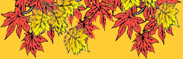 Autumn Leaves
