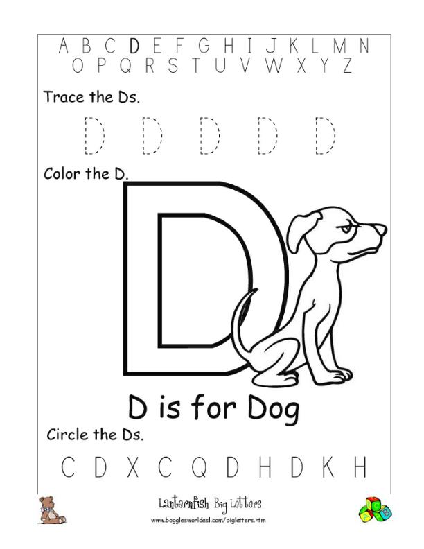 D Alphabet Letter