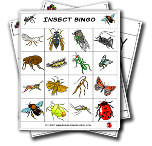 Insect Bingo Game