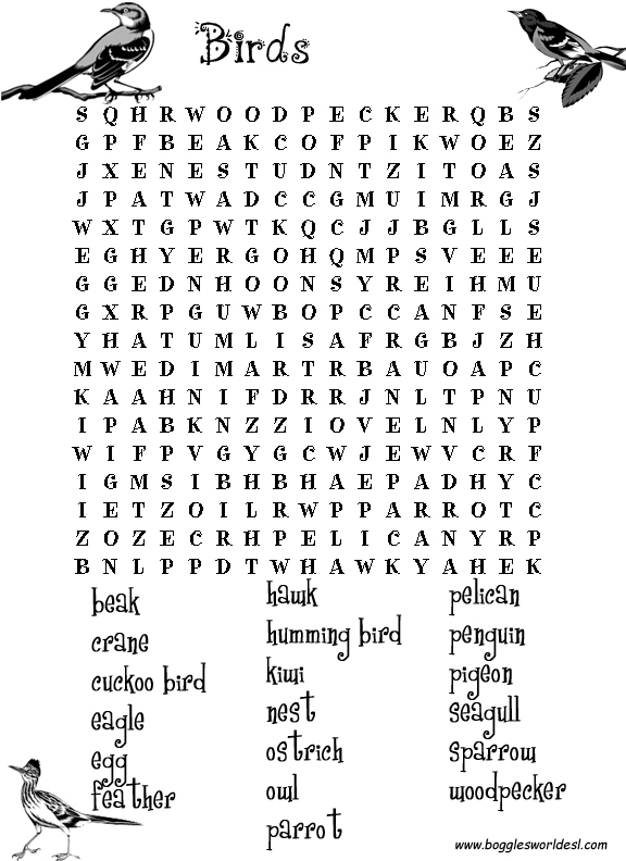 esl wordsearches