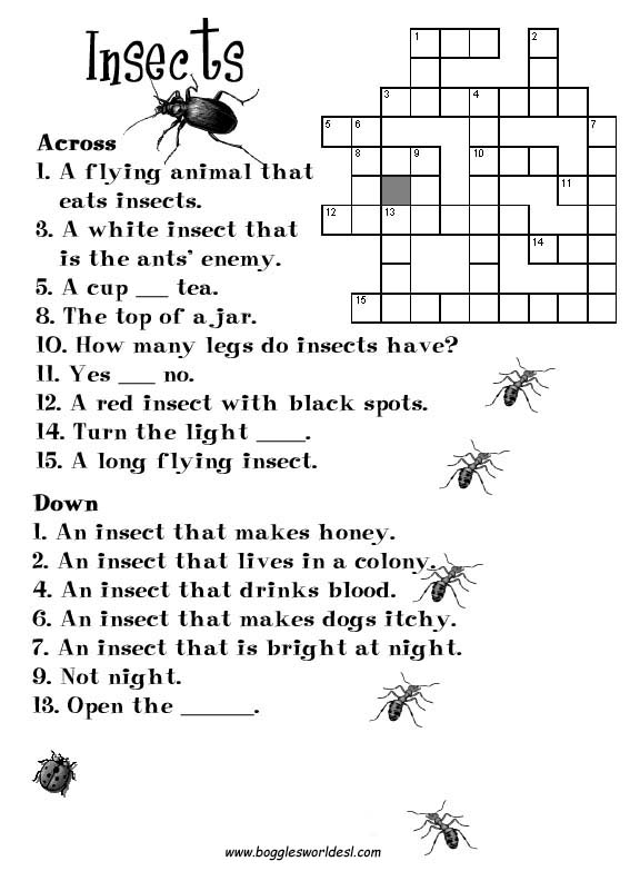 graders english exercise for 2nd Worksheets Insect