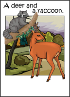 Sample Forest Animal Flashcard