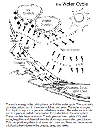 Water Cycle Diagram Blank Worksheet