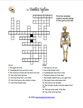 Skeletal System Crossword