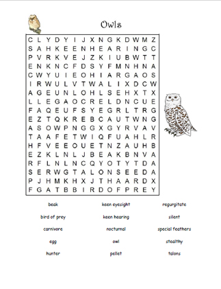 owls word search