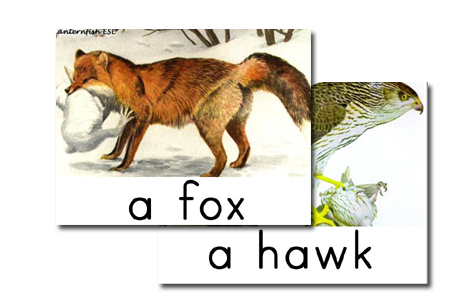 the fox in the forest card game