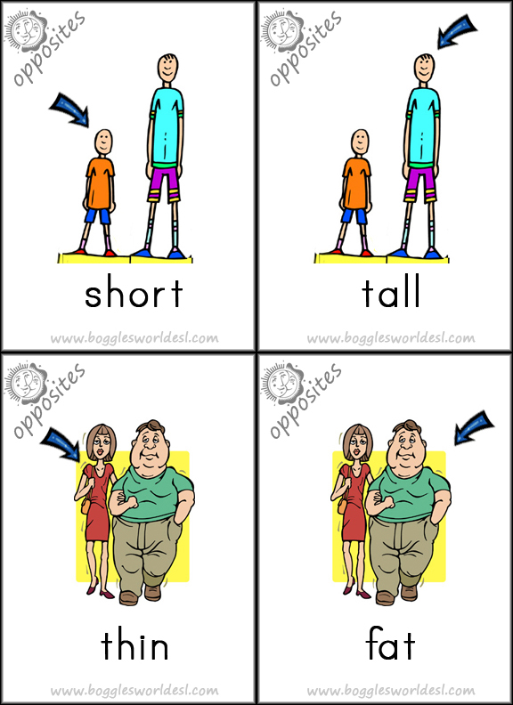 Tall short fat thin. Opposites для детей. Tall short картинки для детей. Appearance карточки Tall short. Tall long big short карточки.