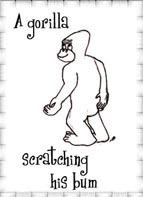 Sample Gorilla Flashcard