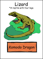 Sample Reptile Flashcard