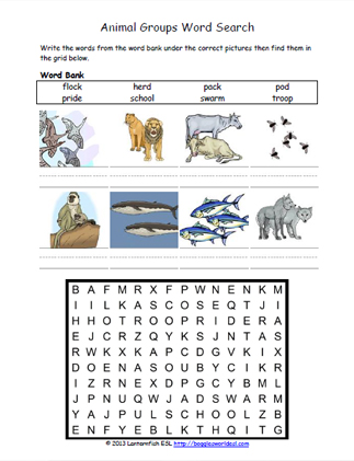 Animal Groups Word Search