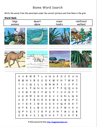 Biome Word Search