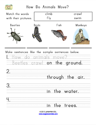 How Do Animals Move How Do Animals Move