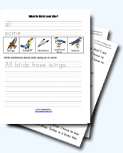 Free Bird Worksheets for Young Learners
