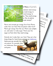 Food Chain and Web Worksheets