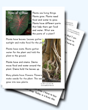 Parts of a Plant Worksheets for Young Learners
