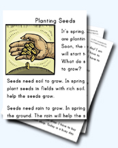 What Do Seeds Need? Worksheets for Young Learners