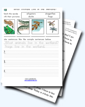 Wetland Animals Worksheets for Young Learners