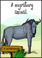 Sample Animal Behavior Flashcard