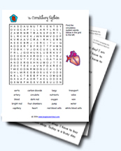 A Collection of Circulatory System Worksheets