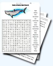 A Collection of Shark Worksheets